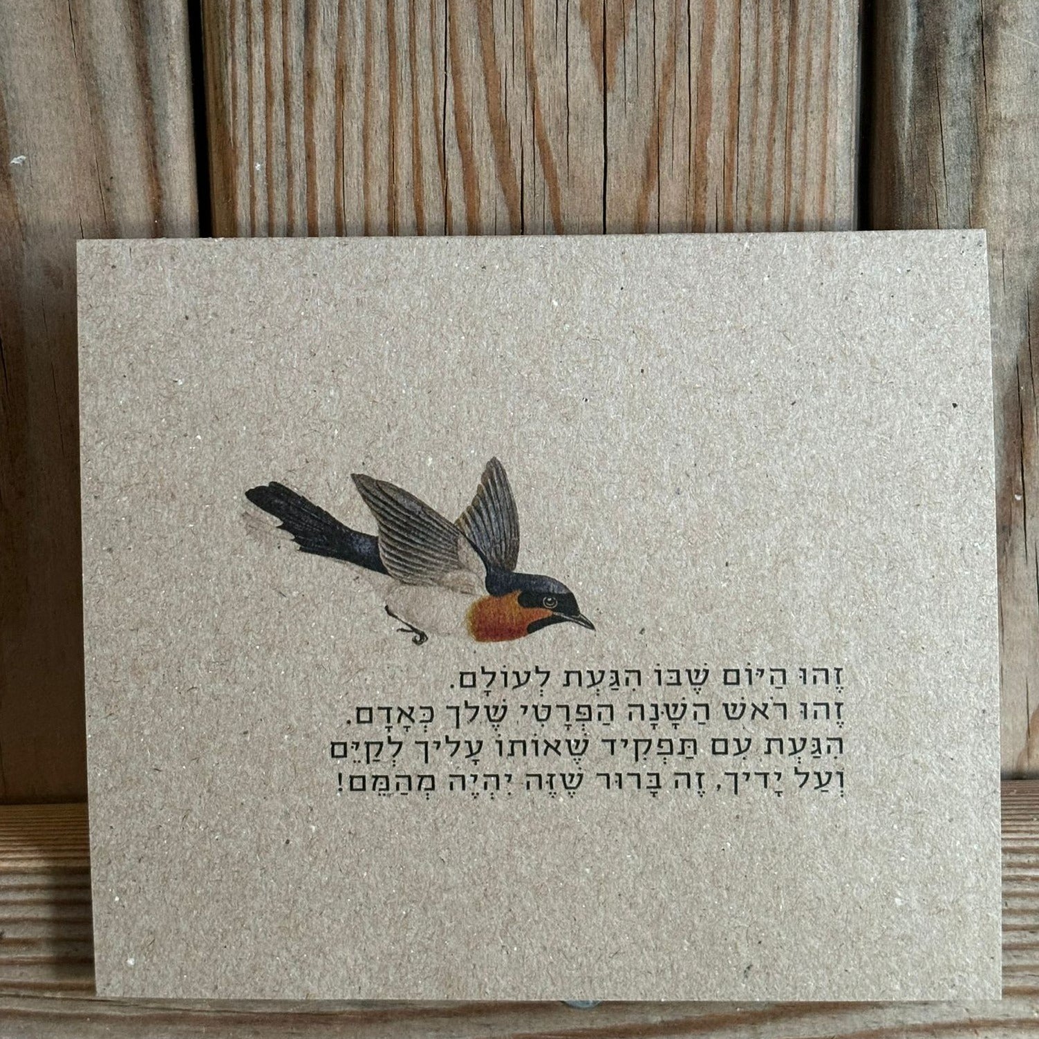 מארז גלויות -  יום הולדת בעיצוב ״טבע״